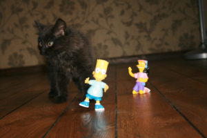 Laudparkett tamm, ühe-lipiline laudparkett, “Natur”, lihvitud, viimistlemata - Image 3