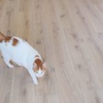 Laudparkett tamm, ühe-lipiline laudparkett, valkjas õlivaha - Image 4