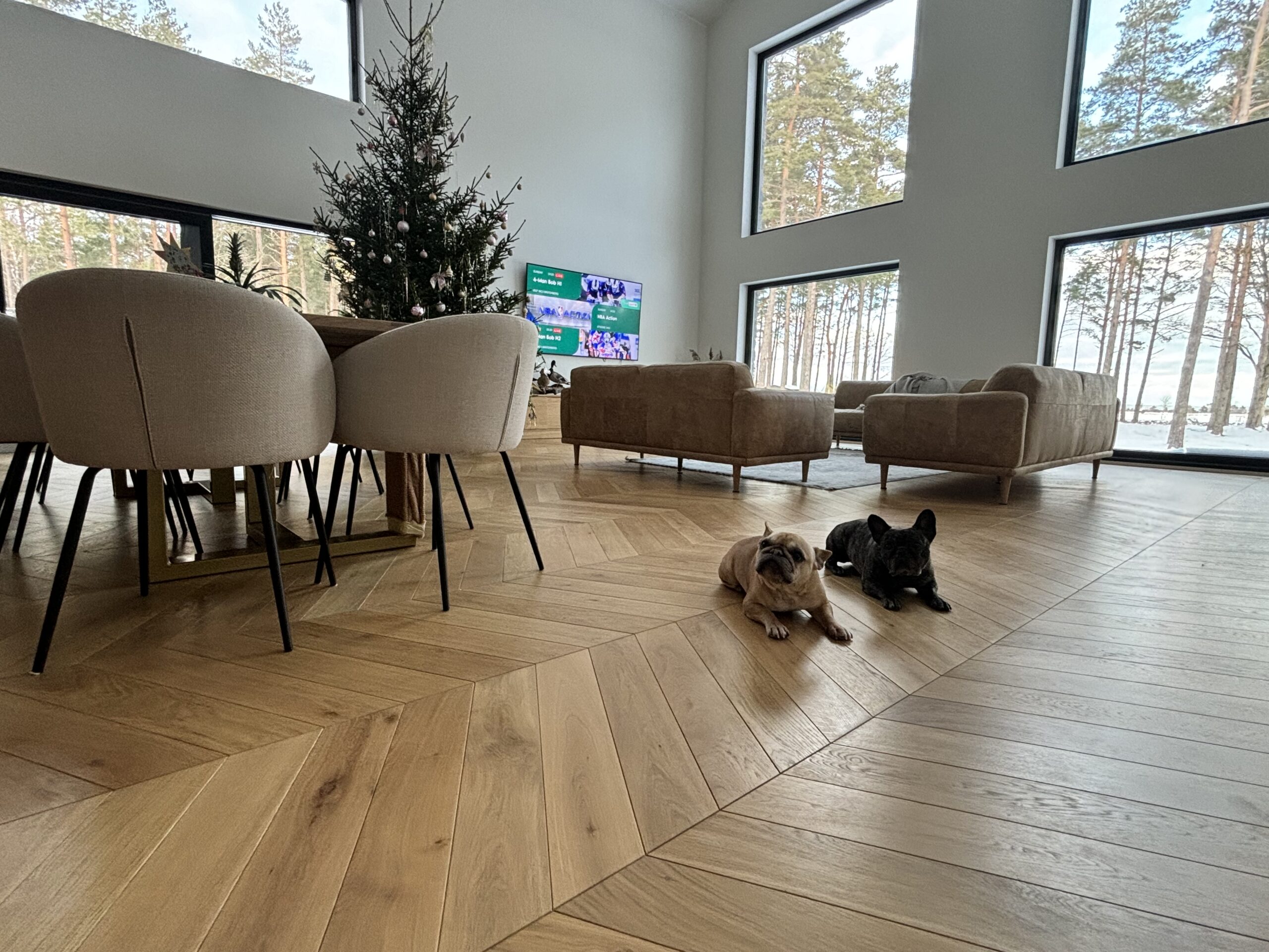 Laudparkett tamm, PRANTSUSE KALASABA, õlitatud või lakitud